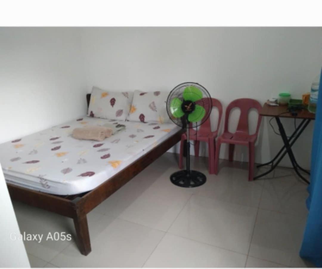 Francis Home Stay Port Barton Bonifacio Street Сан Висенте Екстериор снимка